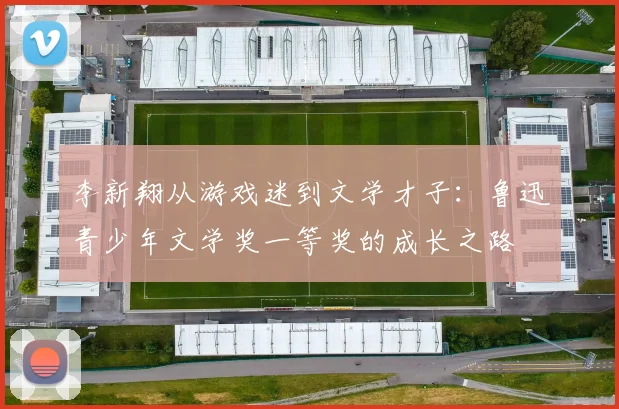 李新翔从游戏迷到文学才子：鲁迅青少年文学奖一等奖的成长之路