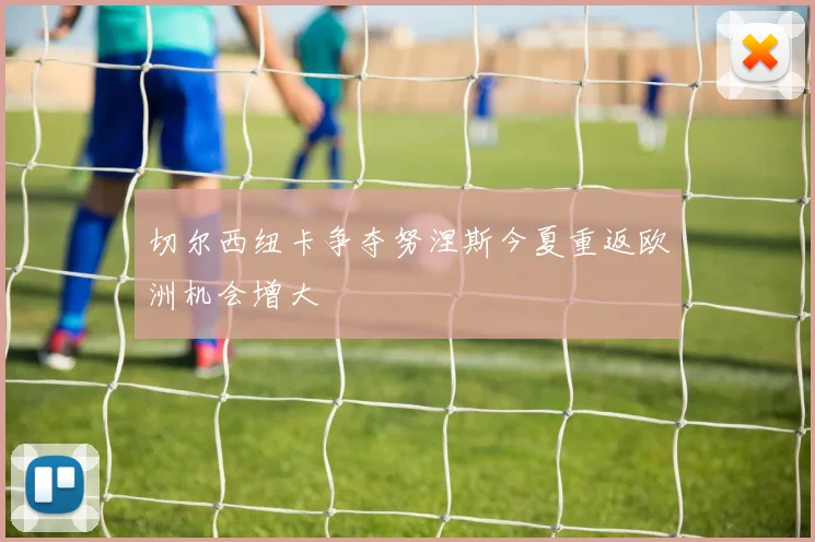 切尔西纽卡争夺努涅斯今夏重返欧洲机会增大