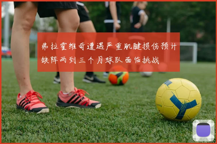 弗拉霍维奇遭遇严重肌腱损伤预计缺阵两到三个月球队面临挑战