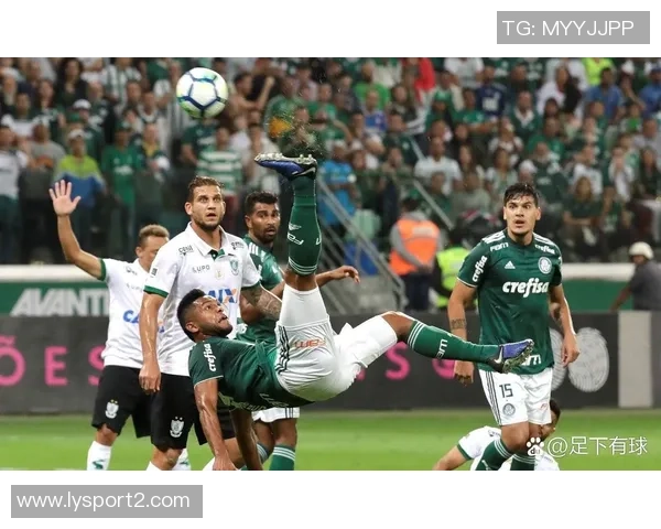 埃斯特旺大腿离队后依然助力帕尔梅拉斯晋级解放者杯决赛 埃斯特旺大腿离队后依然助力帕尔梅拉斯晋级解放者杯决赛